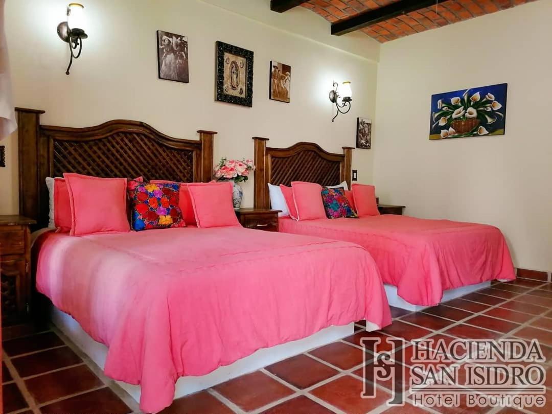 Hotel Hacienda San Isidro San Isidro Mazatepec Exteriér fotografie